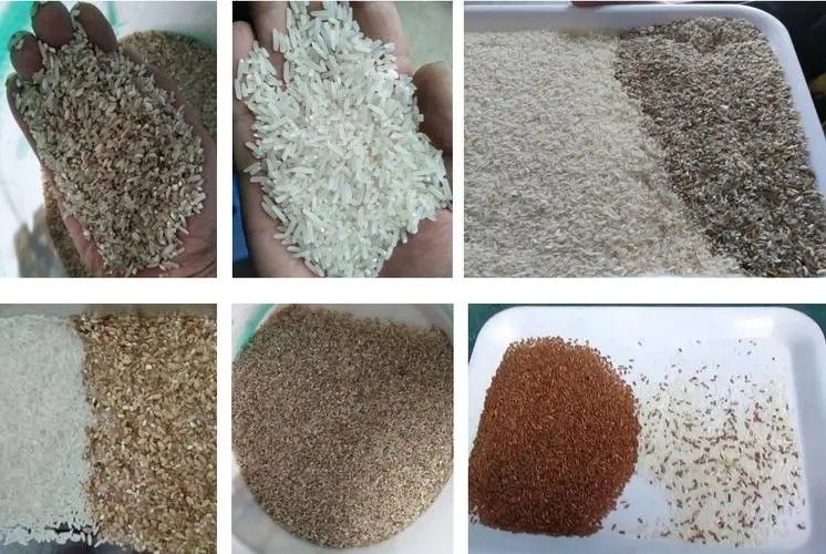 Trieuse automatique de couleur de riz de CCD pour enlever les écrous jaunes noirs de haricots de lentille d'avoine de riz