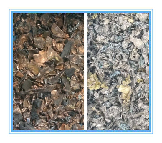 WENYAO Sorteur de couleurs de blé agricole à grande vitesse avec système de contrôle AI