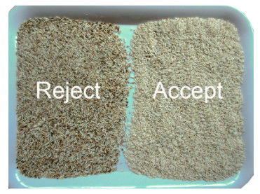 Trieuse automatique de couleur de riz de CCD pour enlever les écrous jaunes noirs de haricots de lentille d'avoine de riz