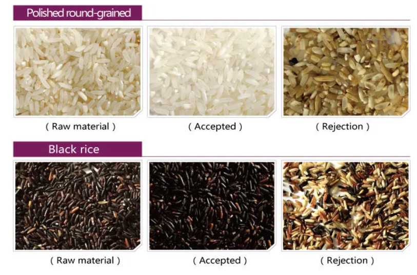 Machine multifonctionnelle de Selctor de trieuse de couleur de grain de riz de 6 descendeurs assortissant pour des céréales de riz