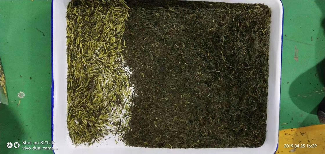 Le riz de grain sème la machine en verre de trieuse de couleur de plastique de thé