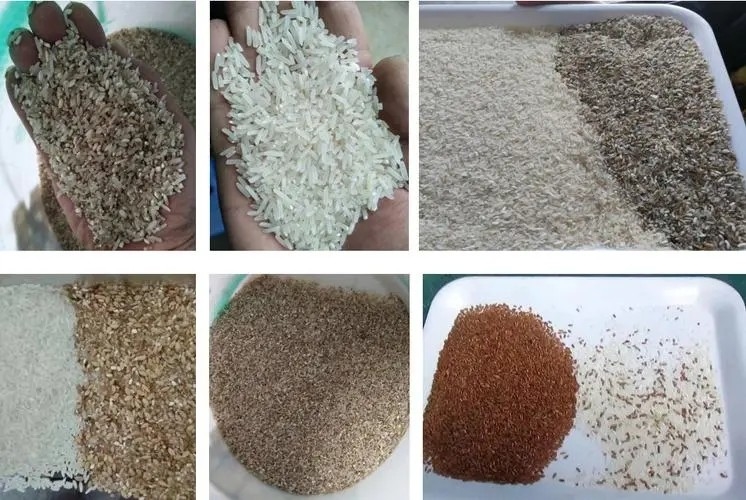 Le riz de grain sème la machine en verre de trieuse de couleur de plastique de thé