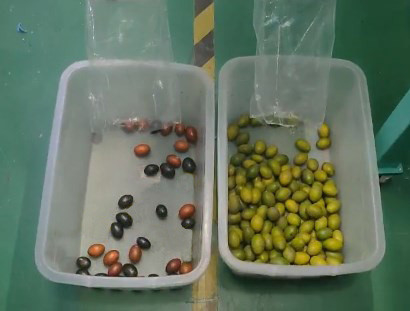 Le riz de grain sème la machine en verre de trieuse de couleur de plastique de thé