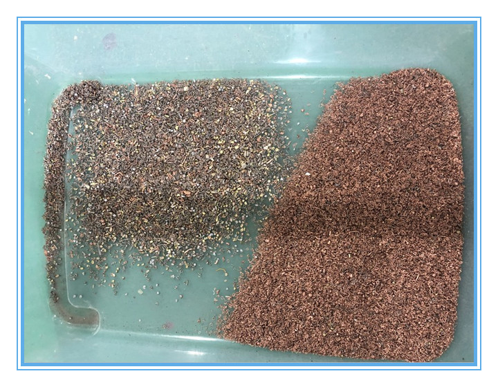 Le riz de grain sème la machine en verre de trieuse de couleur de plastique de thé