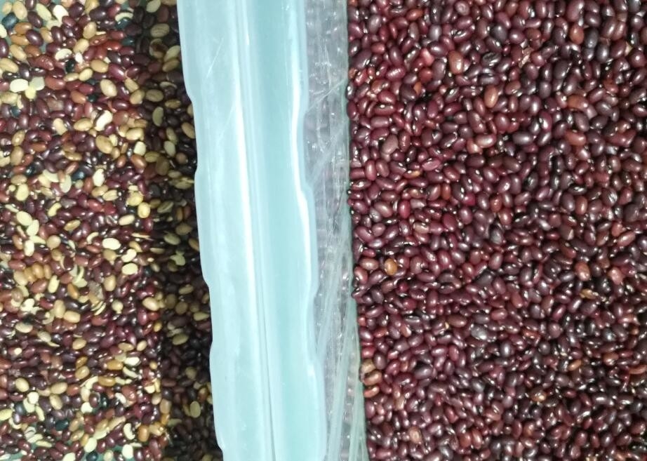 Le soja Bean Color Sorter High Output pour le riz d'écrous de riz de grain