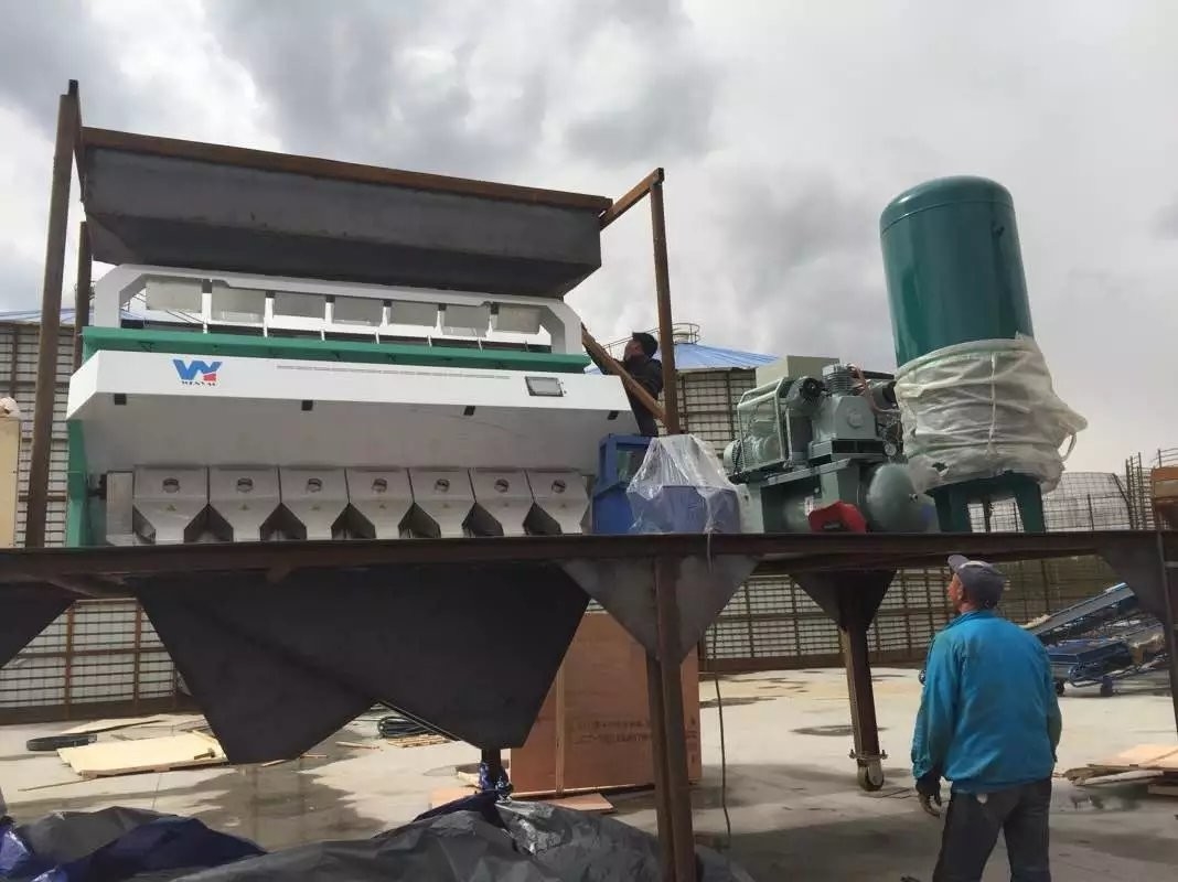5400 précision de trieuse en plastique de couleur de PVC de l'ANIMAL FAMILIER PPT de pixel haute
