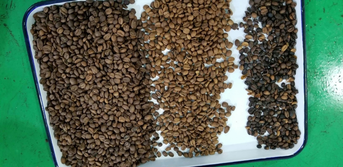 Descendeurs optiques de Bean Mung Bean Sorting Machine 1 de rein de CCD de RVB