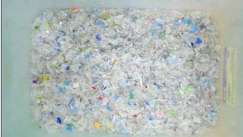 Précision de trieuse de couleur de PVC de HDPE d'ANIMAL FAMILIER haute