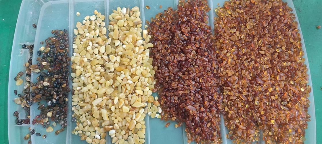 Fonctionnel multi de quinoa de trieuse optique blanche rouge de couleur avec la caméra CCD de Toshiba