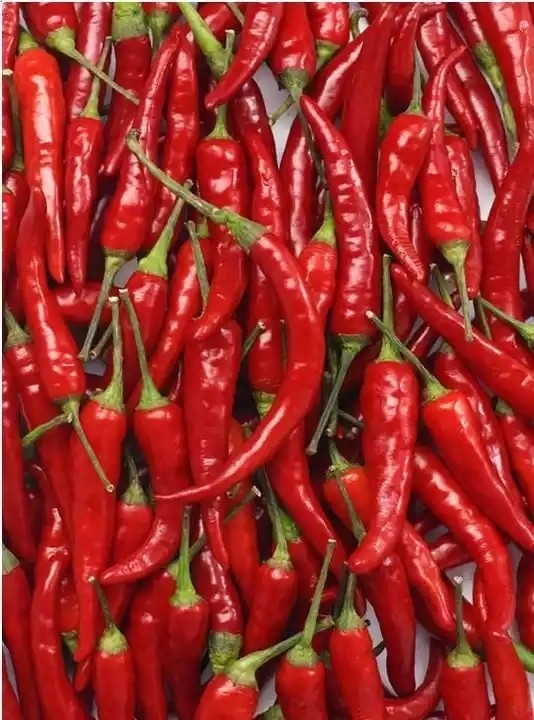 Caméra de Chili Belt Color Sorter With RVB de piment