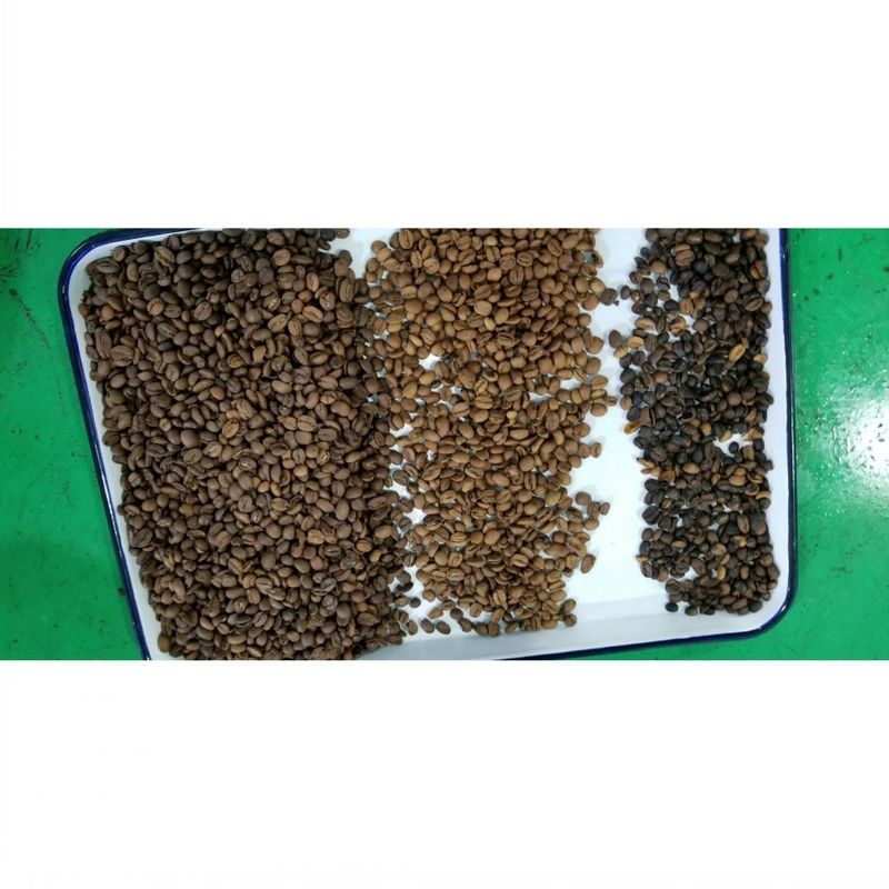 Automatic Beans Color Sorter Coffee Beans Sorting Machine Multi-functional Separator for Soybeans Lentils Chickpeas