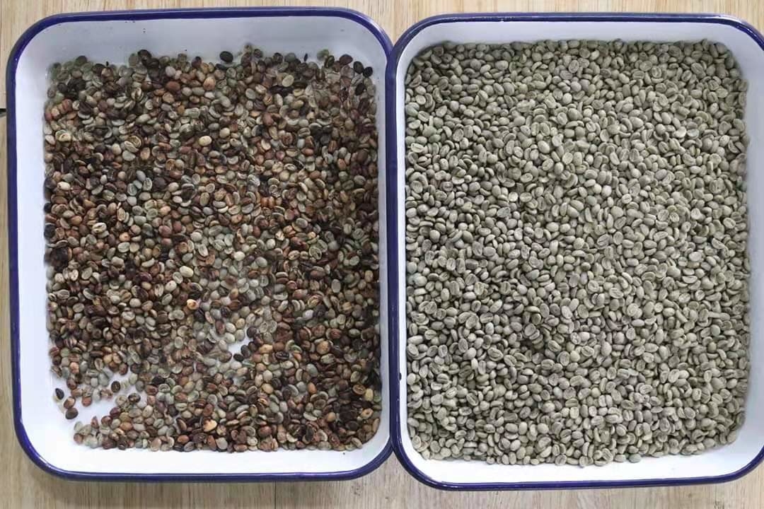 Descendeurs optiques de Bean Mung Bean Sorting Machine 1 de rein de CCD de RVB