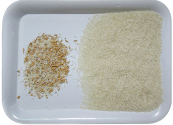 Machine de trieuse de couleur de WENYAO Peeled Peanuts Nuts Rice avec le CCD LED automatiquement