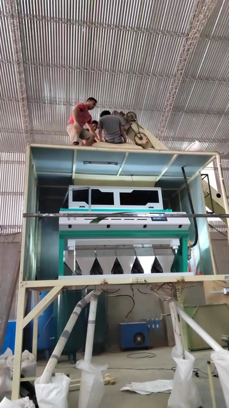 Machine en plastique de trieuse de couleur de cartes de carte PCB pour la couleur verte