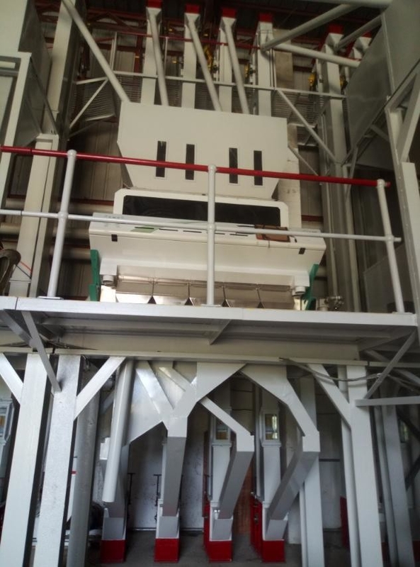 Les haricots de la Pologne Rye colorent la machine de trieuse pour des haricots blancs assortissant et nettoyant