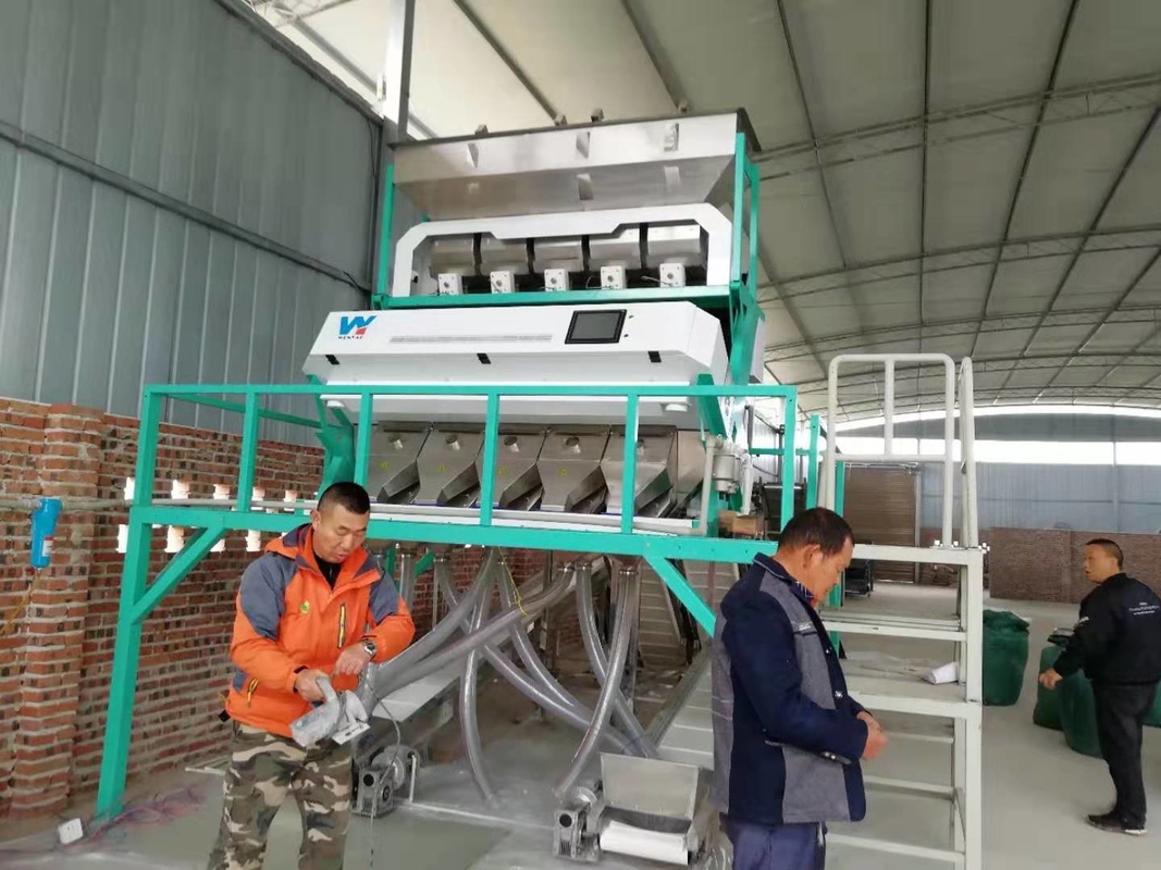 Les haricots de la Pologne Rye colorent la machine de trieuse pour des haricots blancs assortissant et nettoyant