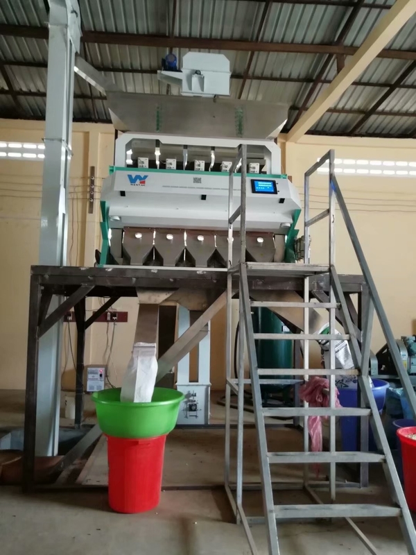 Les haricots de la Pologne Rye colorent la machine de trieuse pour des haricots blancs assortissant et nettoyant