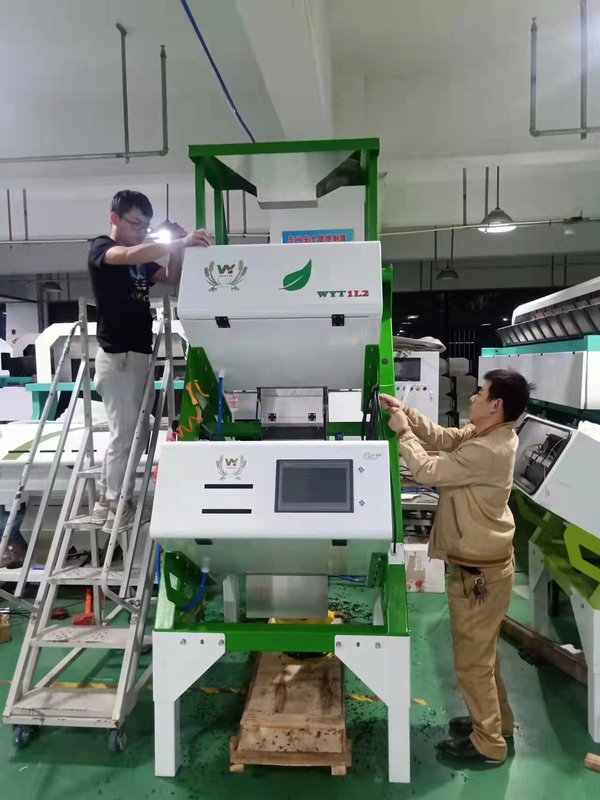 Entretien facile de thé de couleur de machine optique à grande vitesse de trieuse pour les feuilles de thé rouges