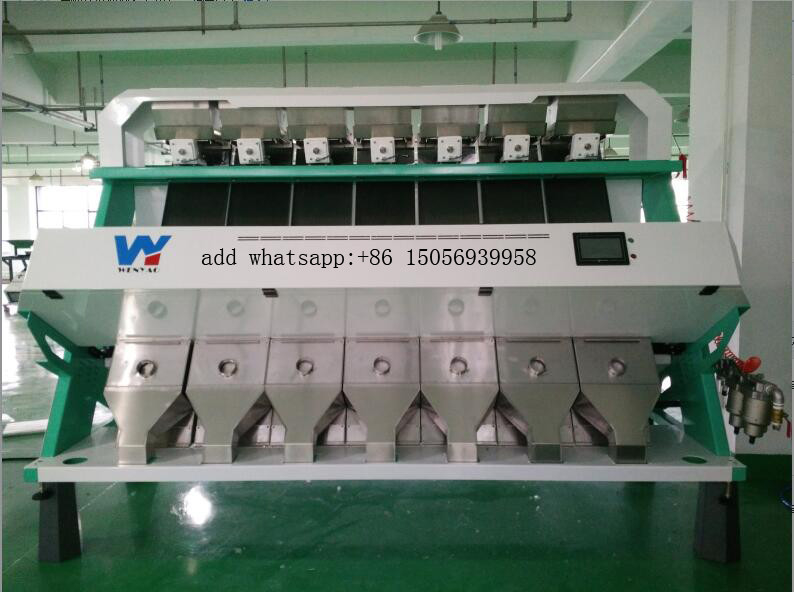 Trieuse multifonctionnelle optique autodidacte de couleur d'ail de CCD Inde d'AI de grande précision