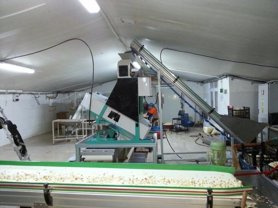 CE optique de la CE ISO9001 de CCD de Paddy Grain Color Sorter 8 de blé futé de descendeurs