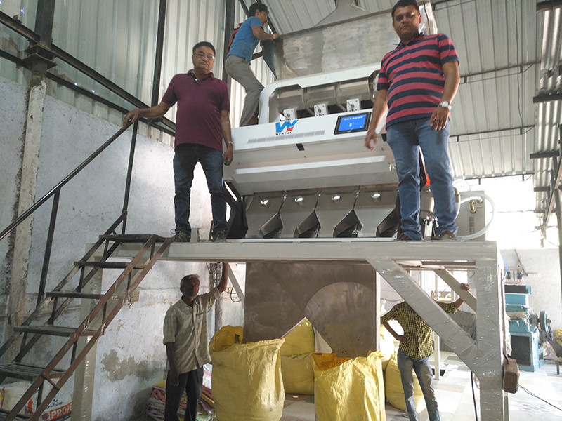 8 descendeurs 512 canaux Chia Seeds Color Sorter Machine avec la caméra de RVB
