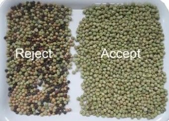 Wenyao Haut tri des couleurs de précision haricots Céréales Céréales de blé Céréales de maïs Céréales de thé Noix Color Sorter Wifi