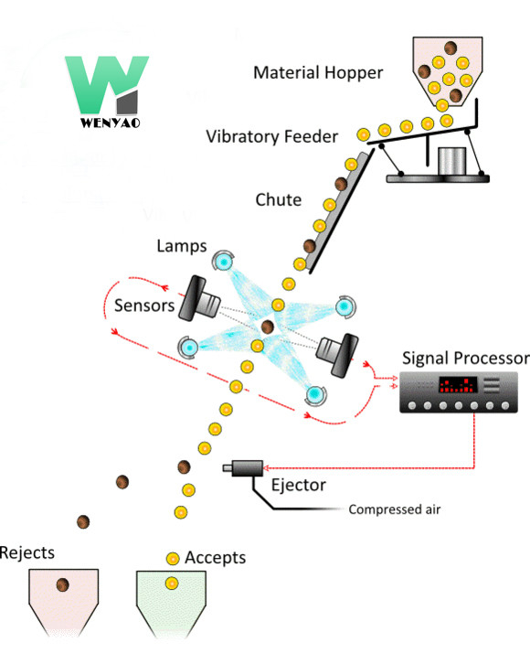 Chia Seeds Color Sorter Machine avec l'analyse d'image et la technologie autodidacte d'AI