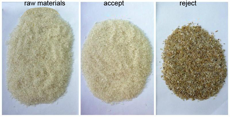 Chia Seeds Color Sorter Machine avec l'analyse d'image et la technologie autodidacte d'AI