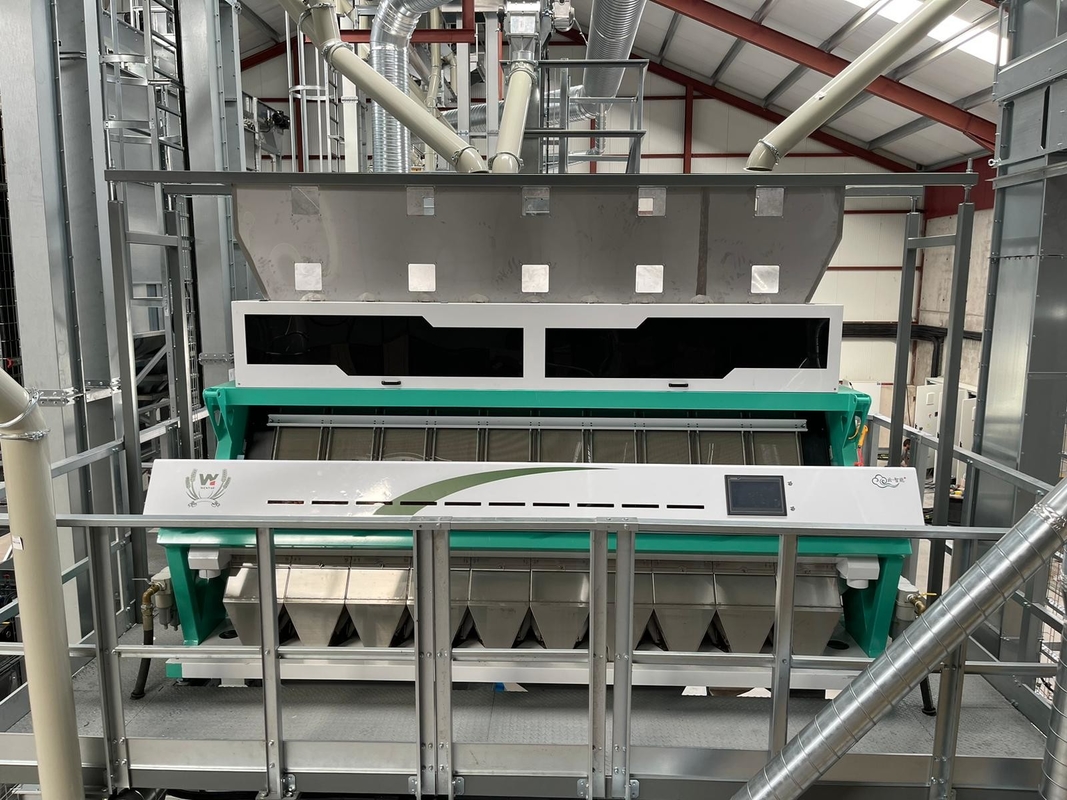 La particule en plastique réutilisent la trieuse optique de couleur de plastique de PE de trieuse