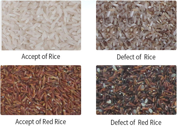 Trieuse échaudée à grain long de couleur de grande précision de machine de trieuse de couleur de riz