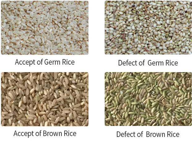 Trieuse échaudée à grain long de couleur de grande précision de machine de trieuse de couleur de riz