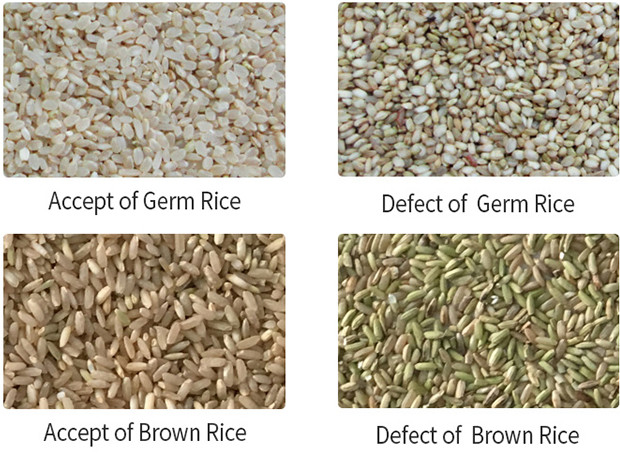 Trieuse échaudée à grain long de couleur de grande précision de machine de trieuse de couleur de riz