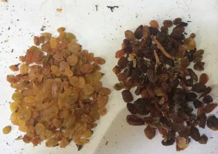 Trieuse de couleur de cardamome d'Olive Color Separator Roasted Nut d'arachide de pois chiche de noix de maïs