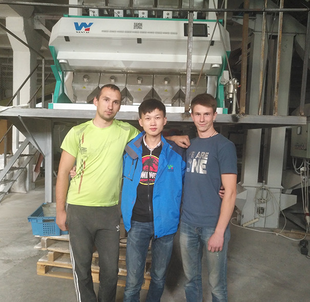 Capteur de CCD de Mini Color Sorting Machine With de trieuse de couleur de raisin sec d'amande d'écrous