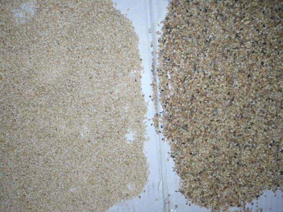 Les graines de citrouille intelligentes de CCD d'AI de graine de trieuse agricole de couleur colorent la trieuse