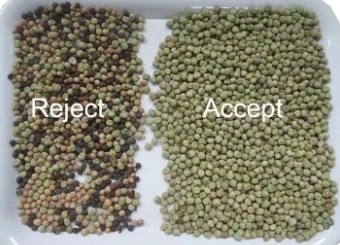 Les haricots d'écran tactile de 2 t/h colorent la trieuse avec la caméra CCD de haute précision