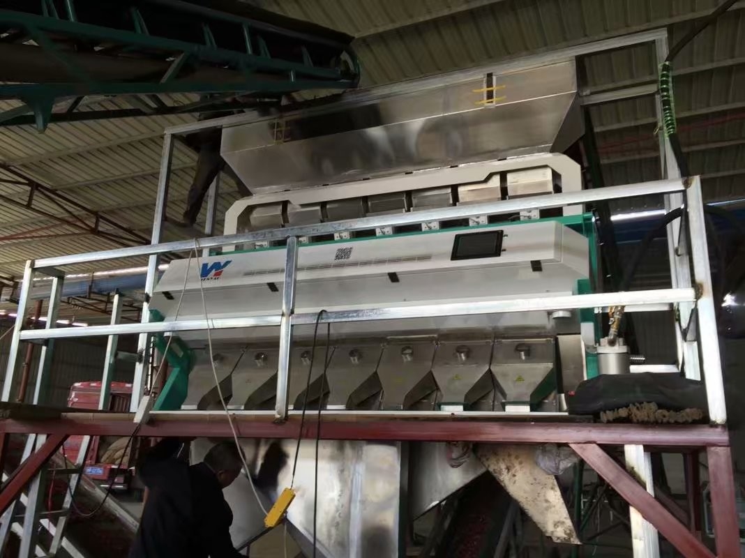 Sortisseur de couleurs de riz de haute capacité 0,3 - 0,9 t/h 2 ans Précision de tri 99,5 - 99,9%