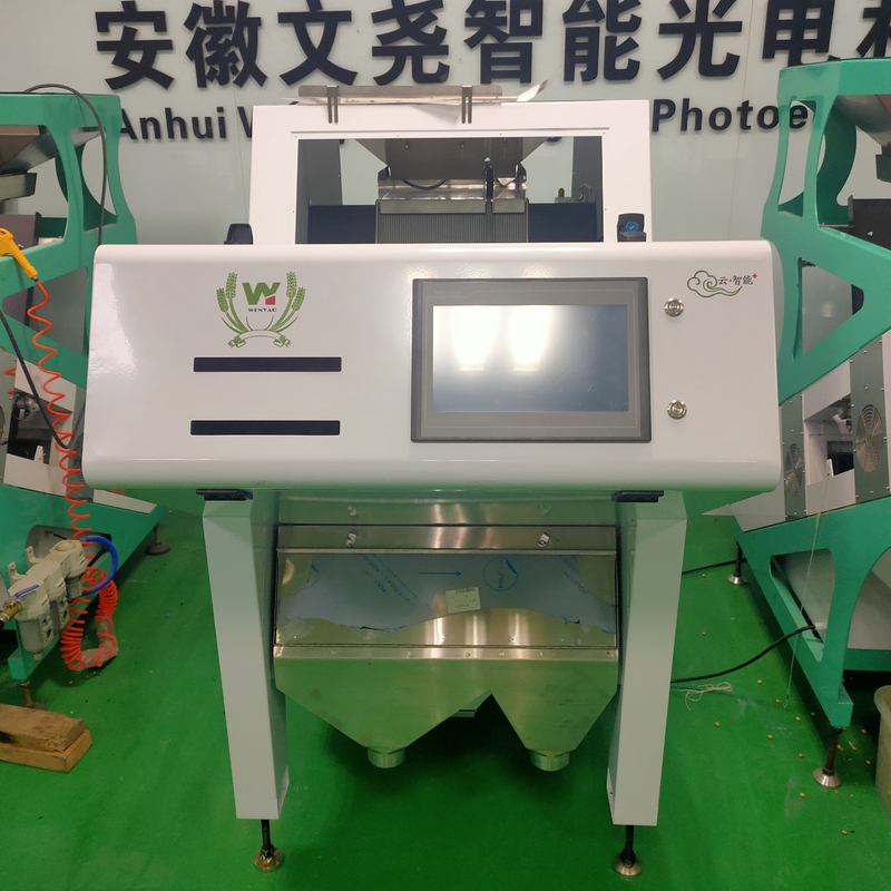 Technologie de tri optique des couleurs Wenyao pour le traitement des semences et des céréales