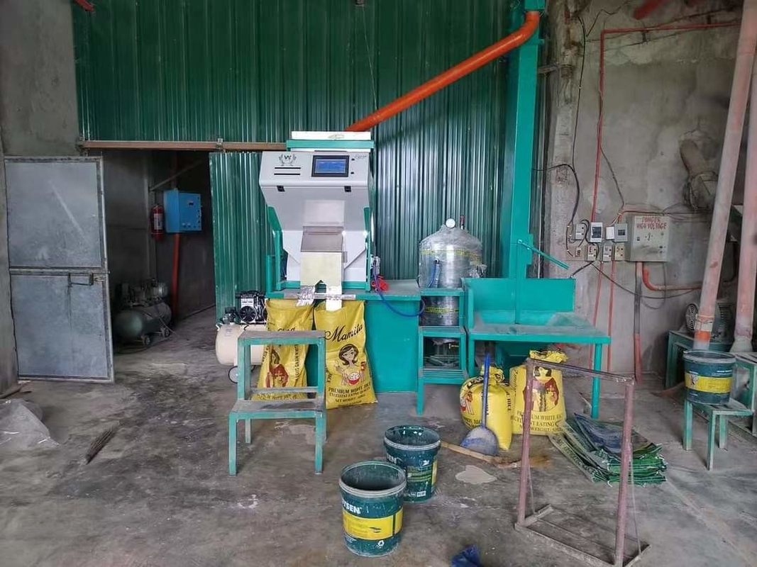 Machine de tri optique de la couleur du riz rouge noir - 280 kg 2 ans