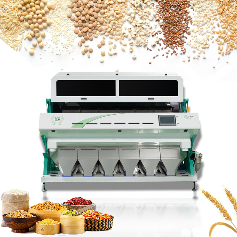 Machine de tri des céréales de café à haute précision et à couleur élevée Équipement de tri des noix en plastique de riz Multifonction