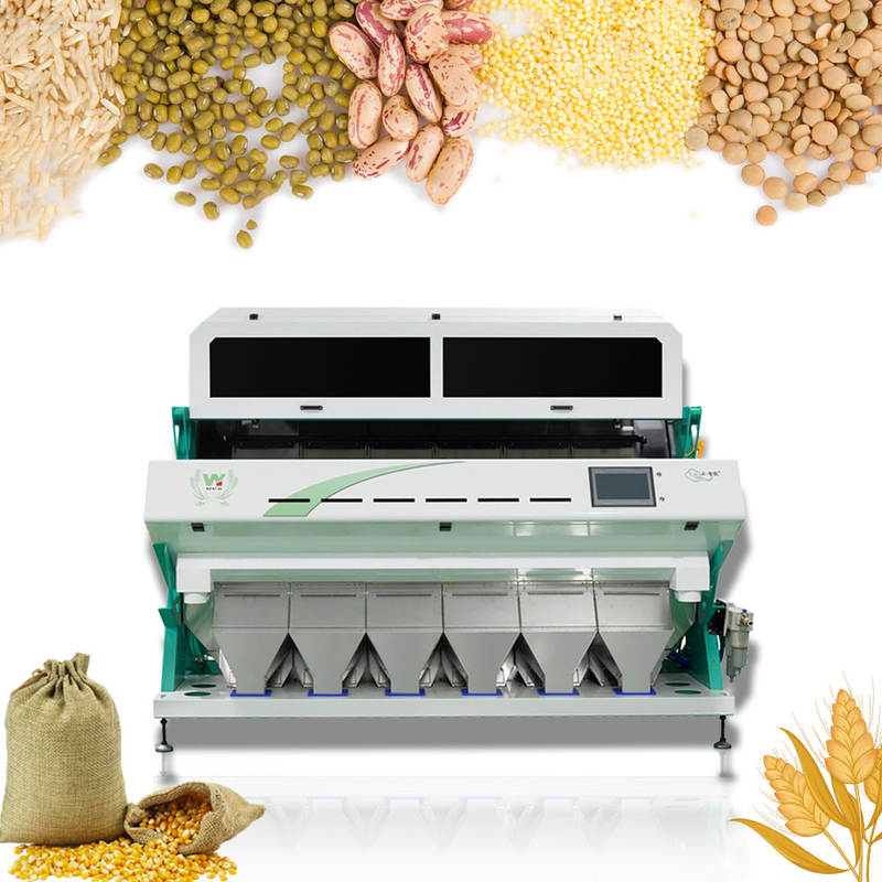 Machine de tri des céréales de café à haute précision et à couleur élevée Équipement de tri des noix en plastique de riz Multifonction