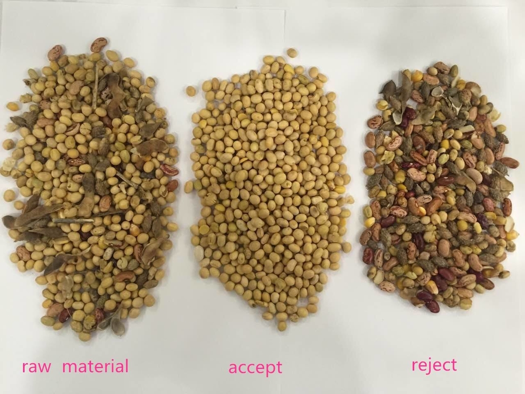 Machine de tri des céréales de café à haute précision et à couleur élevée Équipement de tri des noix en plastique de riz Multifonction