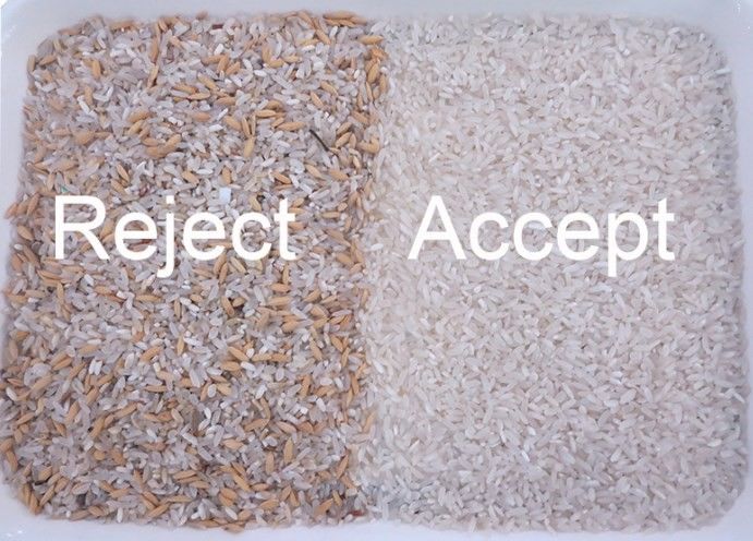 WENYAO Tri de précision multi-couleurs pour les opérations de tri du riz Trieuse de couleurs Riz étuvé à grains longs