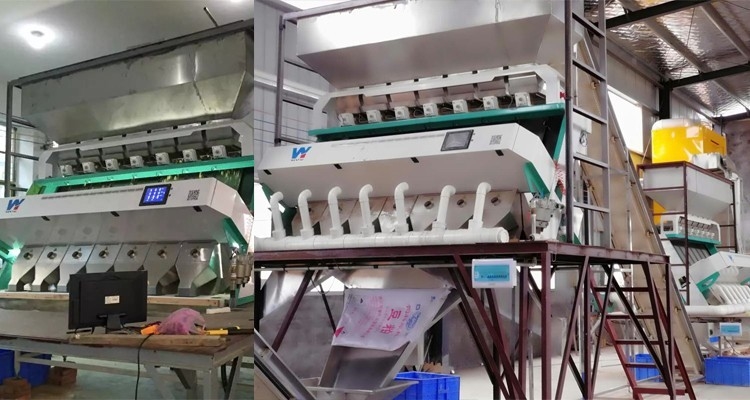 Machine de tri optique des couleurs minérales pour le quartz de feldspath de kaolin barite