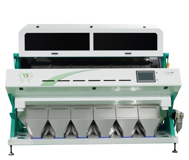 Machine de tri des couleurs CCD fiable Noyaux de graines de citrouille Tri des couleurs