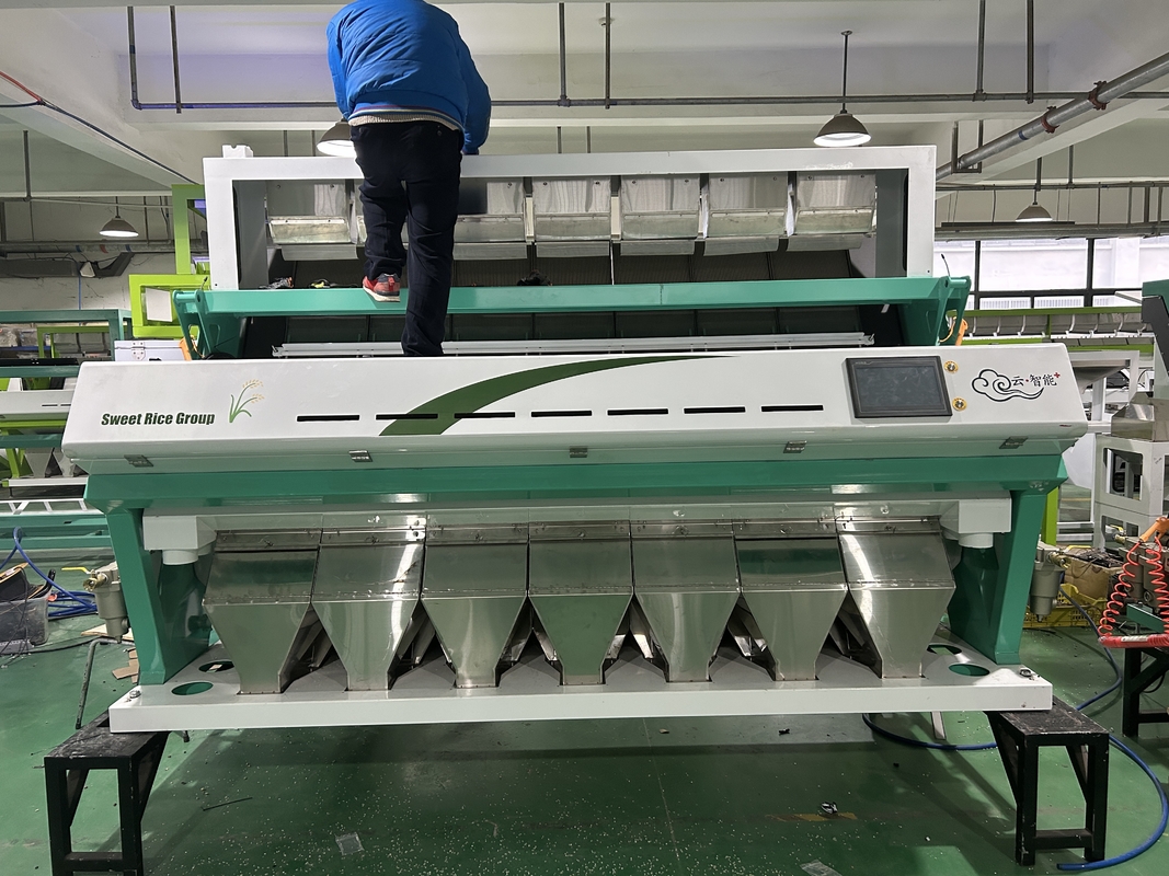 Machine de tri de couleurs de haricots optiques de haute précision avec caméra CCD