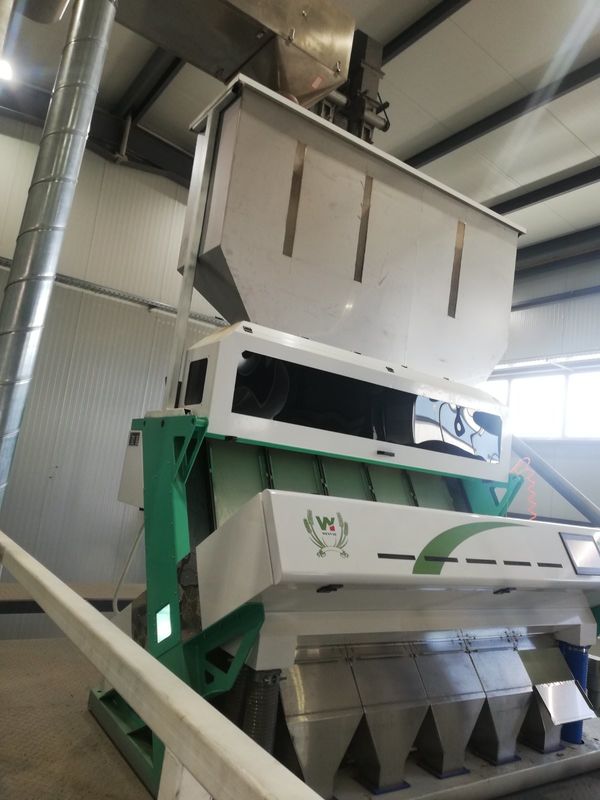 Trieuse moisie de couleur de blé de 5 descendeurs, machine de trieuse pour le blé pour enlever le blé de rouille