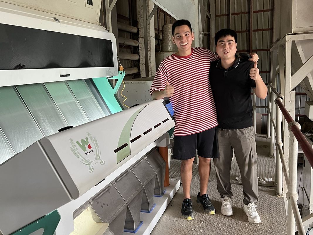 Trieuse moisie de couleur de blé de 5 descendeurs, machine de trieuse pour le blé pour enlever le blé de rouille