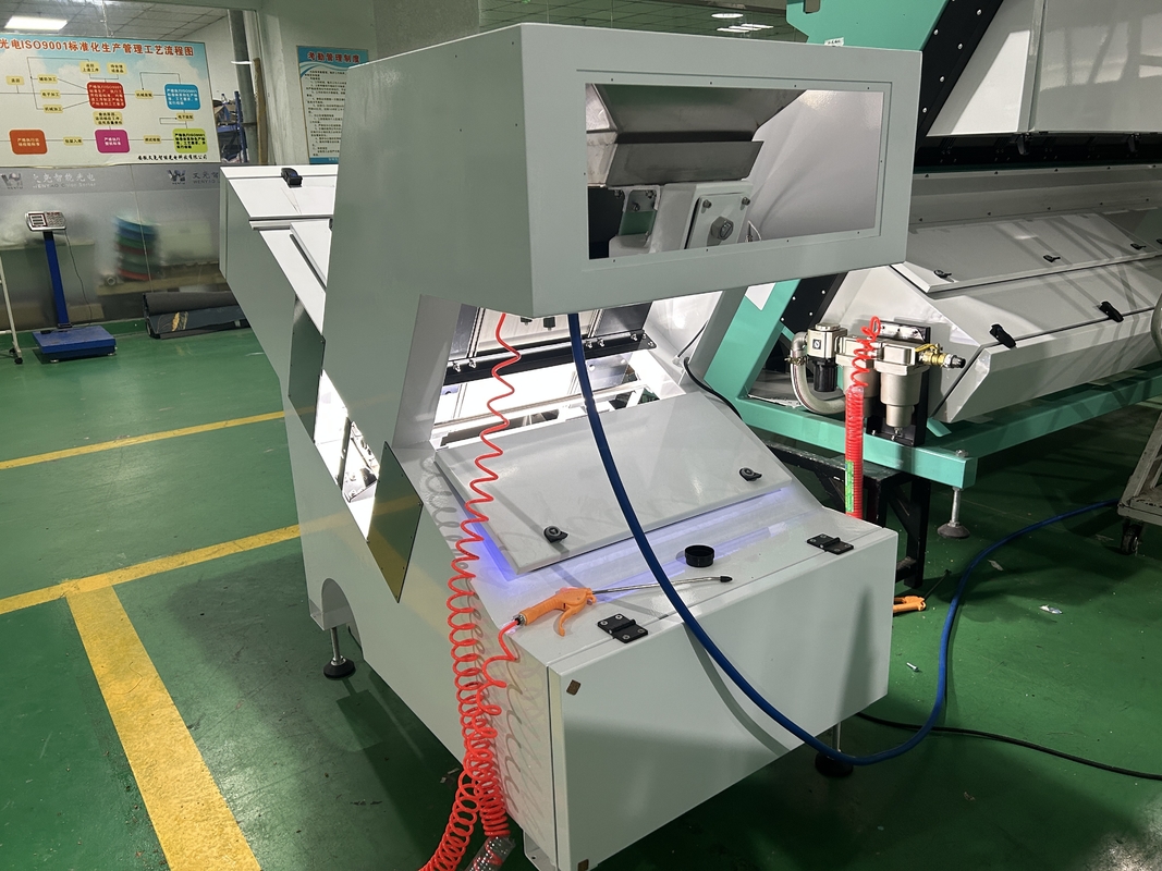 Amérique FPGA Processing Chip Optical Candlenut Color Sorting Machine pour le tri des épices
