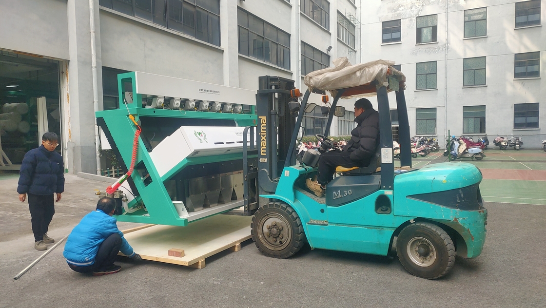 Machine de tri des couleurs d'oignons séchés pour le tri des oignons de Hefei en Chine